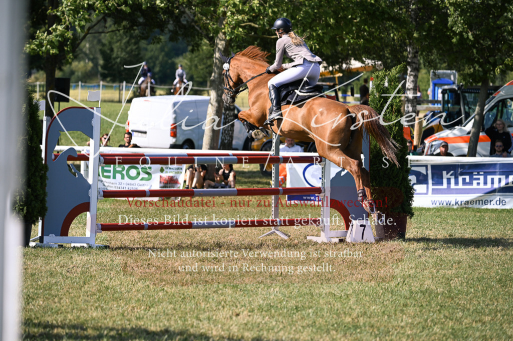 DSC_1305 | Pferde- und Turnierfotografie in Westsachsen. Pferdeportraits, Auftragszeichnungen und intuitive Kunst.