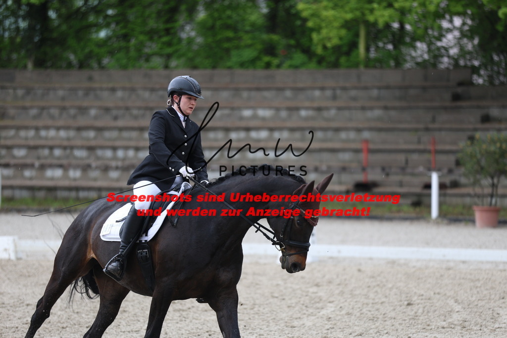 A40A8546 | lmwpictures - Realisiert mit Pictrs.com