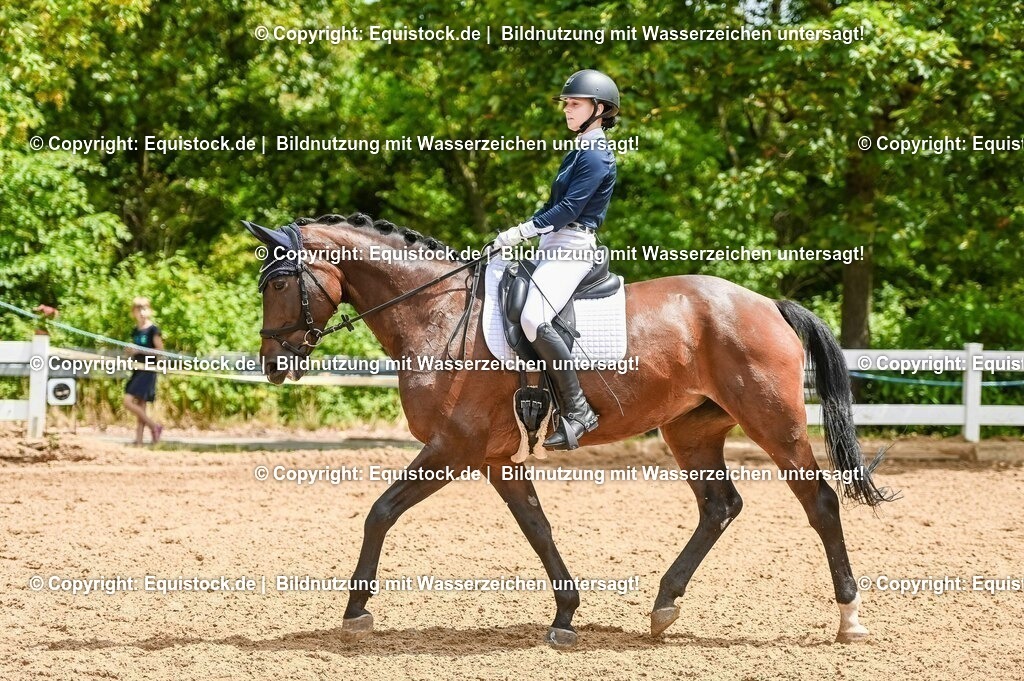 20230716_03_Dressurprfg. Kl.L - Tr._0293 | equistock