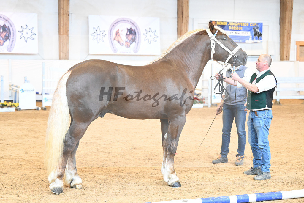 Kat-Nr. 7 v. Schmauzenberg_Mayr_2230059 | hf-fotografie - Realisiert mit Pictrs.com
