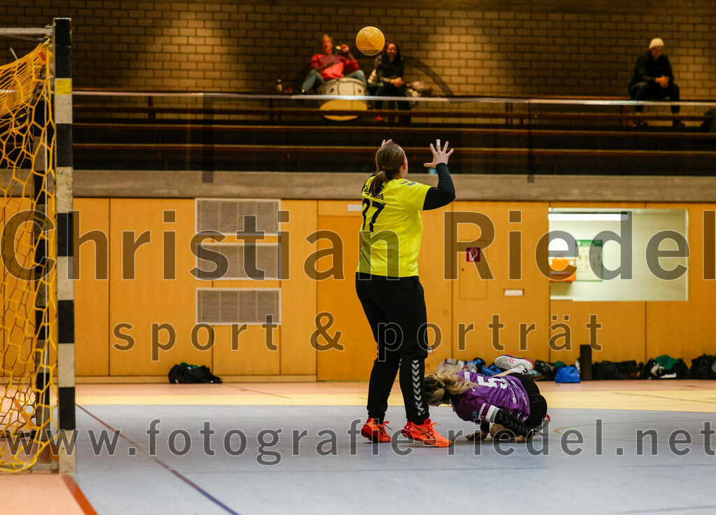 2024-02-10_049_SpVgg_Altenerding_gegen_SVA_Palzing | Erding, Deutschland, 10.02.2024:
Handball, Bezirksoberliga Frauen Altbayern 2023 / 2024, 14. Spieltag, SpVgg Altenerding gegen SVA Palzing, Endergebnis: 27:28

Torfrau Vivian Beier (SVA Palzing, #37), Lena Prem (SpVgg Altenerding, #5)

Foto: Christian Riedel / fotografie-riedel.net