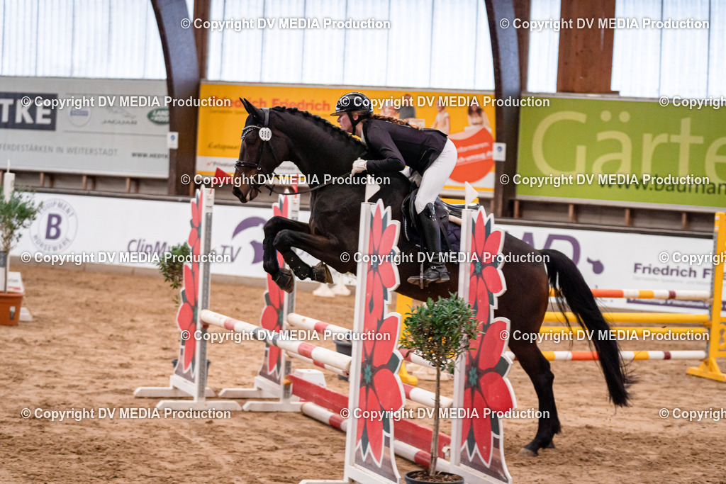 Kranichstein Tag 3-095 | dv-media-shop - Realisiert mit Pictrs.com