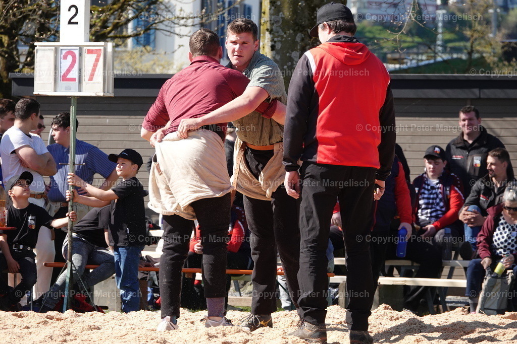 DSC02286 | Schwingen - Realized with Pictrs.com