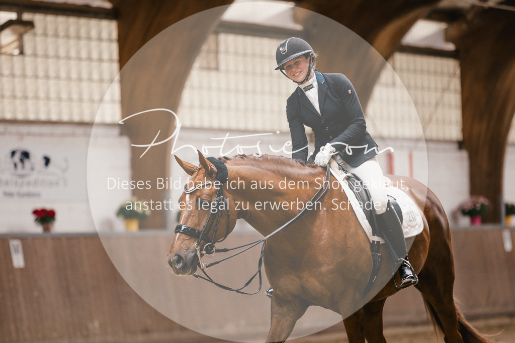 3I6A9092 | Stimmungsvolle Portraits und Reitsportfotografie im Ruhrgebiet und im Münsterland.

Pferdefotografie, Hundefotografie, Tierfotografie, Reportagen, Portraits von Tier und Mensch, Turnierfotografie in Bochum, Recklinghausen, Marl, Haltern am See, Dülmen.. - Realisiert mit Pictrs.com