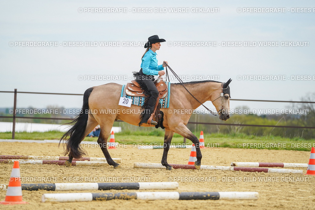 DSC03391 | Pferdegrafie