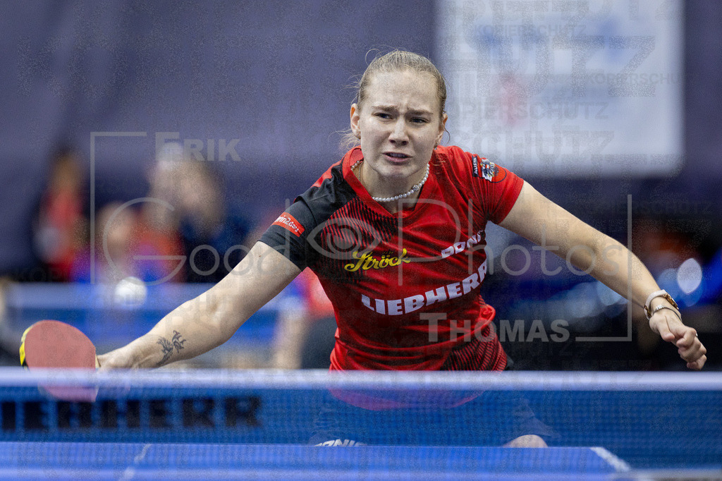 European_Championships_2024-10-16_008 | good-photos - Realisiert mit Pictrs.com
