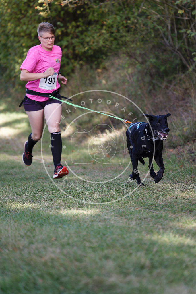 0L8A5640 | Hundefotografie, Tierfotograf, Pfotenfotografie, Fotoshooting Hund, Hunde Portrait, Hundesport, Hundeportraits, Heideshooting, Hunde, Sportfotograf, Hundefotograf, Turnierhundsport, THS,  - Realisiert mit Pictrs.com