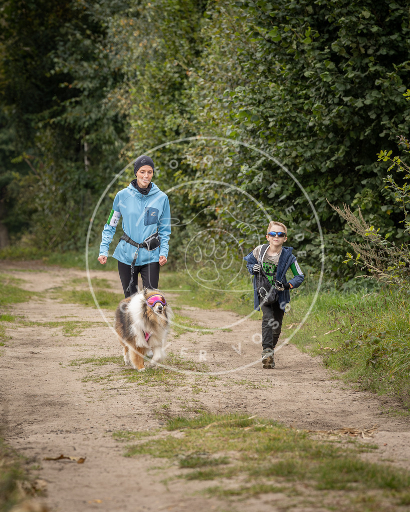 Pfotenfotografie_DV3A7368 | Hundefotografie, Tierfotograf, Pfotenfotografie, Fotoshooting Hund, Hunde Portrait, Hundesport, Hundeportraits, Heideshooting, Hunde, Sportfotograf, Hundefotograf, Turnierhundsport, THS,  - Realisiert mit Pictrs.com