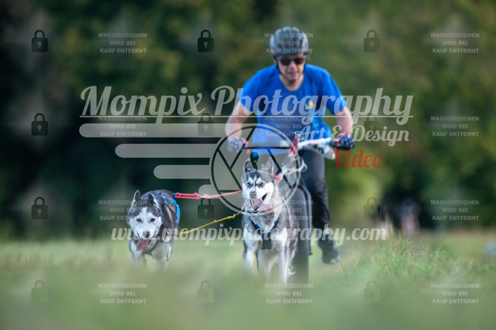 CDLBDB_15_10_2023_Dimanche-86 | PayLife