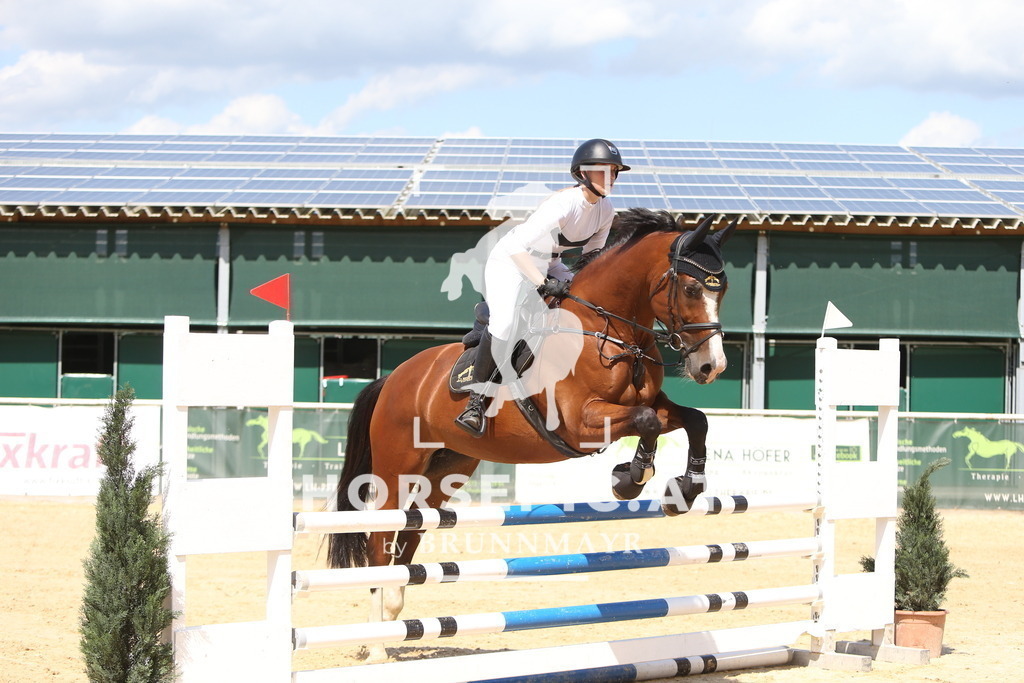 DL2Q5713 | Willkommen bei Brunnmayr - Design & Fotografie – Ihrem Spezialisten für Reitturniere und Pferdeveranstaltungen in Oberösterreich, Salzburg und Bayern! Seit über 17 Jahren sind wir leidenschaftlich dabei.