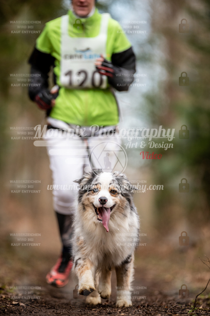 Reiat2023_SAM_CaniXRun_5km_W-66 | PayLife