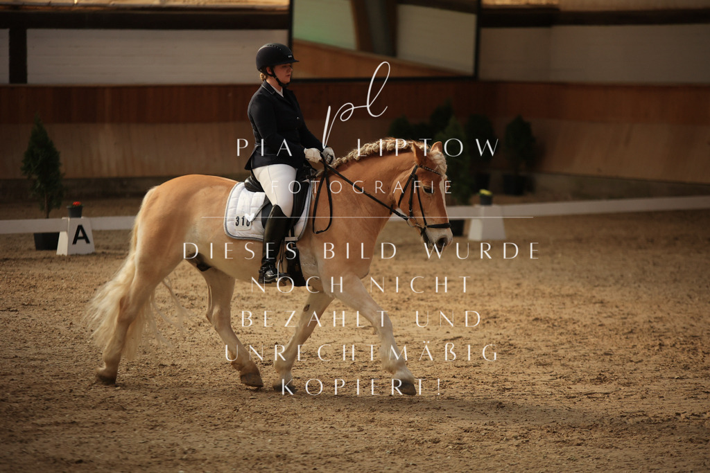 IMGT1960 | pl-fotografie