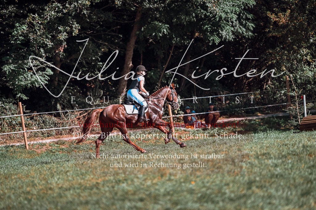 DSC_0757 | Pferde- und Turnierfotografie in Westsachsen. Pferdeportraits, Auftragszeichnungen und intuitive Kunst.