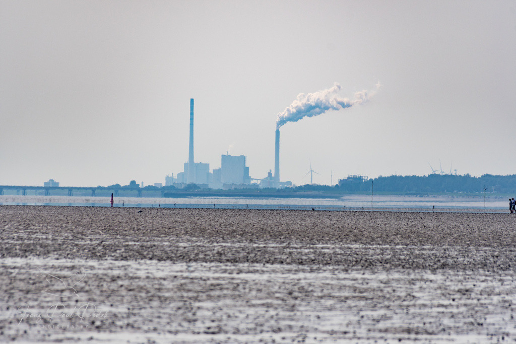 9C29FFF5-D56E-434A-B9B3-911ED6AE0F14 | Franz Podek