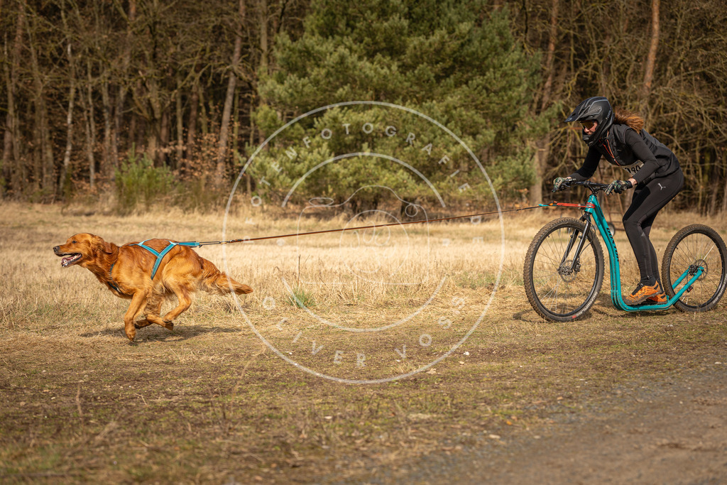 DV3A4758 | Hundefotografie, Tierfotograf, Pfotenfotografie, Fotoshooting Hund, Hunde Portrait, Hundesport, Hundeportraits, Heideshooting, Hunde, Sportfotograf, Hundefotograf, Turnierhundsport, THS,  - Realisiert mit Pictrs.com