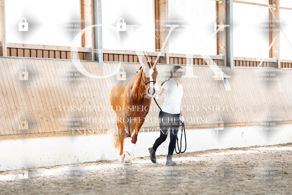 CK907625 | Turnierfotografie Pferdefotografie Trier Rheinland-Pfalz Pferdesport Reitsport Tierfotografie Sportfotografie Pferdevideo Pferdevideografie Equestrianvideography equestrianphotography  - Realisiert mit Pictrs.com