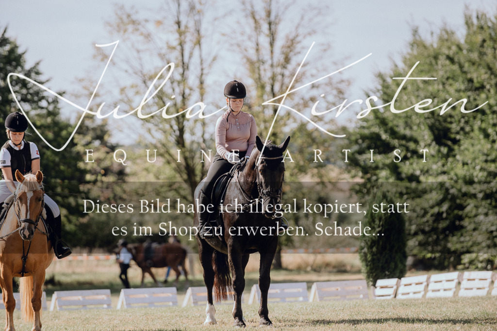 DSC_7163 | Pferde- und Turnierfotografie in Westsachsen. Pferdeportraits, Auftragszeichnungen und intuitive Kunst.