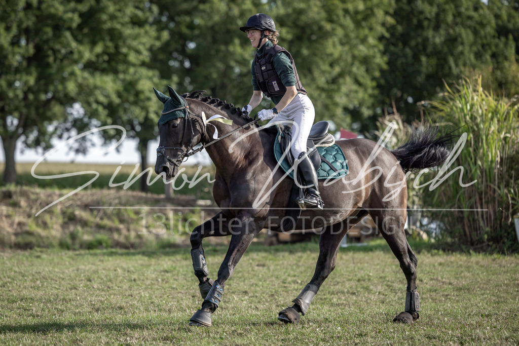 20250907-_3LI9057 | Tierfotografie Pferde, Hunde, Katzen, Haustiere.
Turnierfotografie Reitturniere, Reiten, Springreiten, Dressur in Hanau, dem Main-Kinzig-Kreis und dem Rhein-Main- Gebiet um Frankfurt