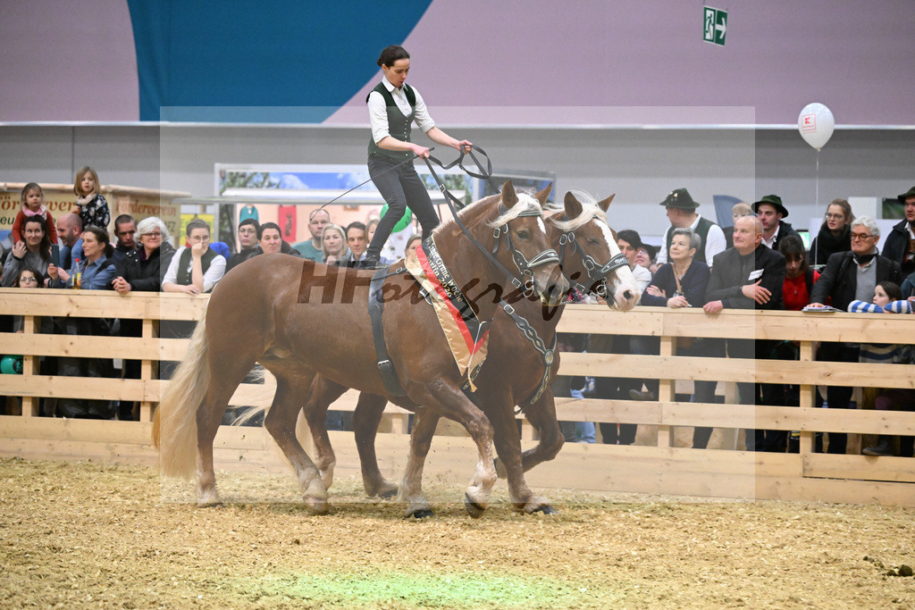 Schauprogramm_Ungar. Post_1260930 | hf-fotografie - Realisiert mit Pictrs.com