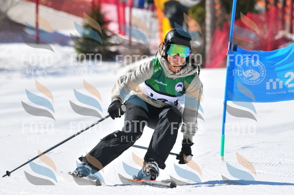 C4163 | holidayphoto