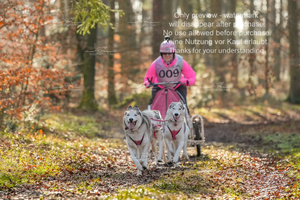 So_Gespanne-21 | stephaniefillaphotographie - Realisiert mit Pictrs.com