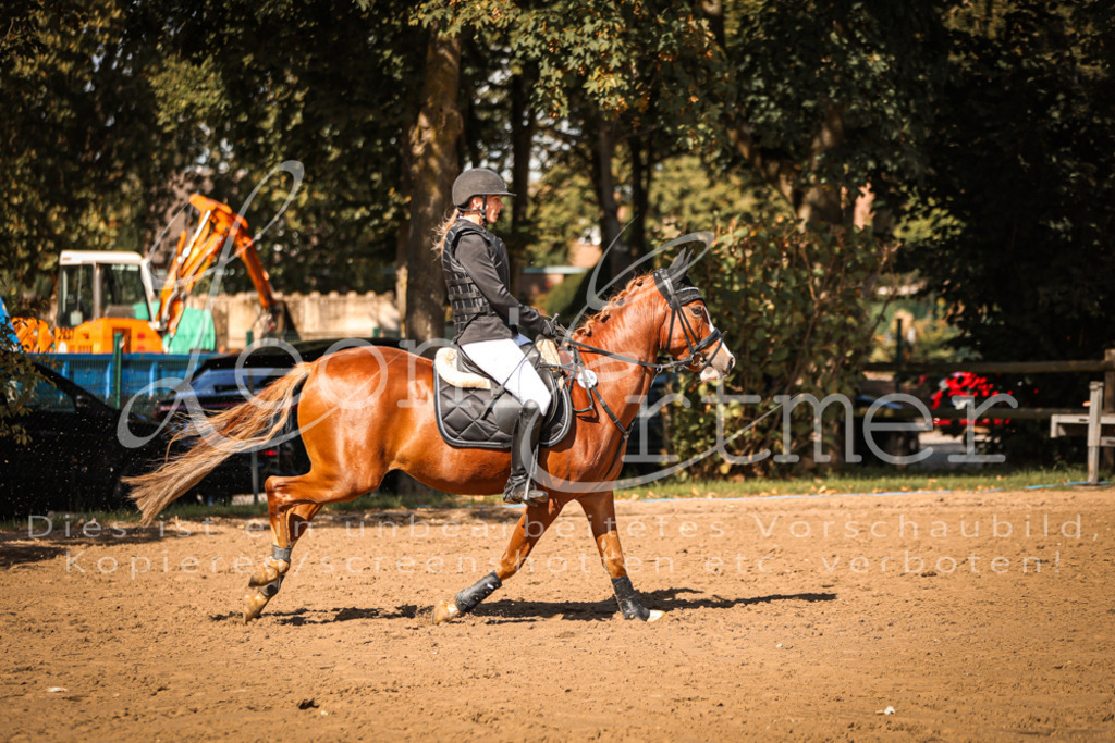 05.SaSpE00324 | Leoni Ertmer Photography - Realisiert mit Pictrs.com