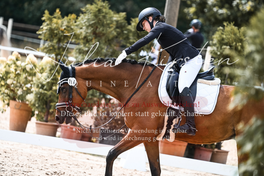 DSC_5172 | Pferde- und Turnierfotografie in Westsachsen. Pferdeportraits, Auftragszeichnungen und intuitive Kunst.