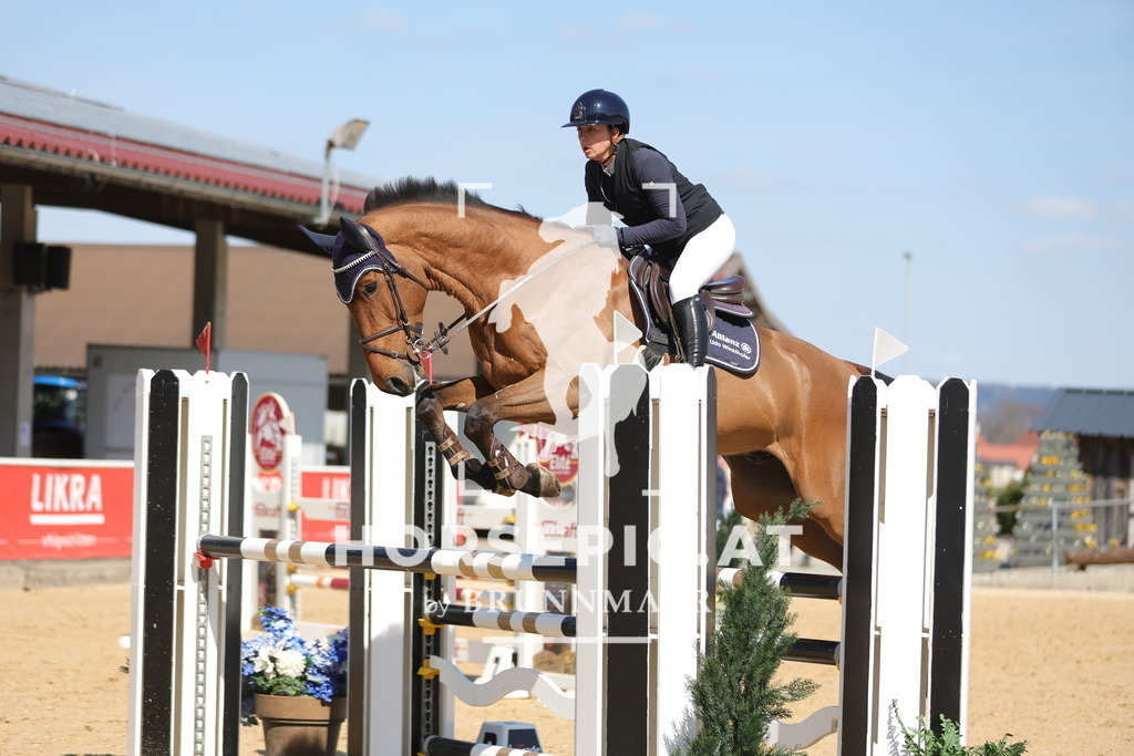 0P6A0451 | Willkommen bei Brunnmayr - Design & Fotografie – Ihrem Spezialisten für Reitturniere und Pferdeveranstaltungen in Oberösterreich, Salzburg und Bayern! Seit über 17 Jahren sind wir leidenschaftlich dabei.