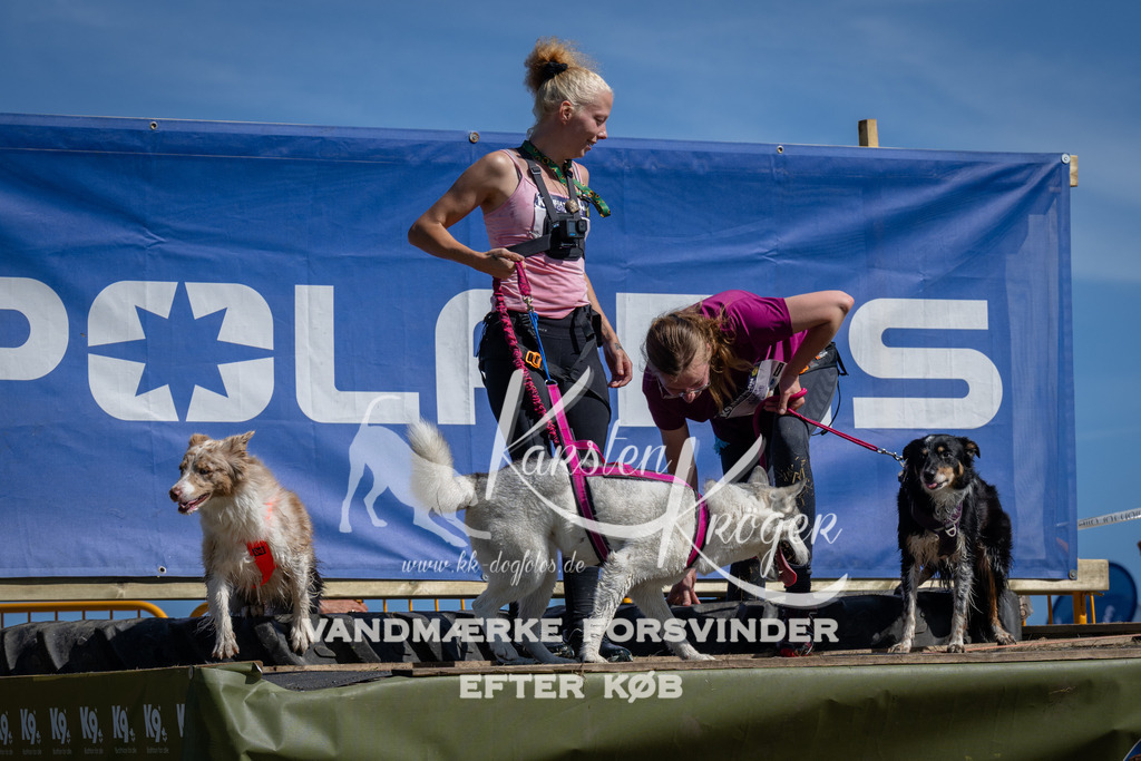 1126_ZZ91596 | kk-dogfotos