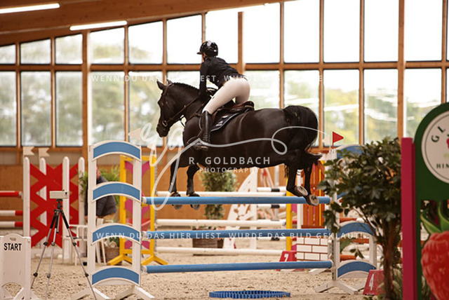 1J2A9026Mira Leinert_ Ilari R_ Kn291_ Glantz_ Hohen Wieschendorf | Foto- und Videografie für alles rund ums Pferd. Hochwertige Bilder und Videos vom Spring- und Dressurreiten, Voltigieren & mehr. Jetzt aktuelle Veranstaltungen und Preise im Shop ansehen. - Realisiert mit Pictrs.com