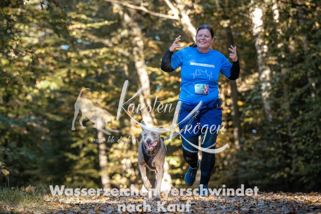 1010_ZZ99437 | kk-dogfotos