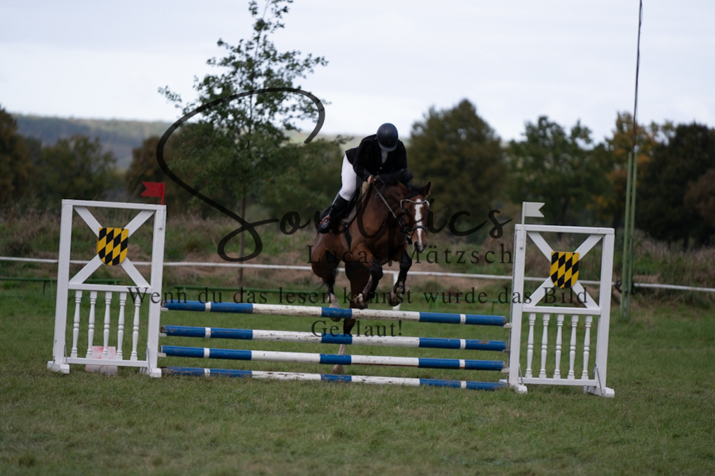 A7V06446 | Pferdefotograf