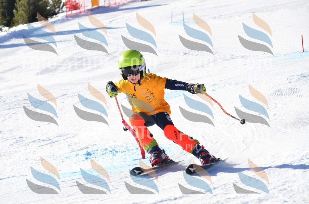 C6225 | holidayphoto