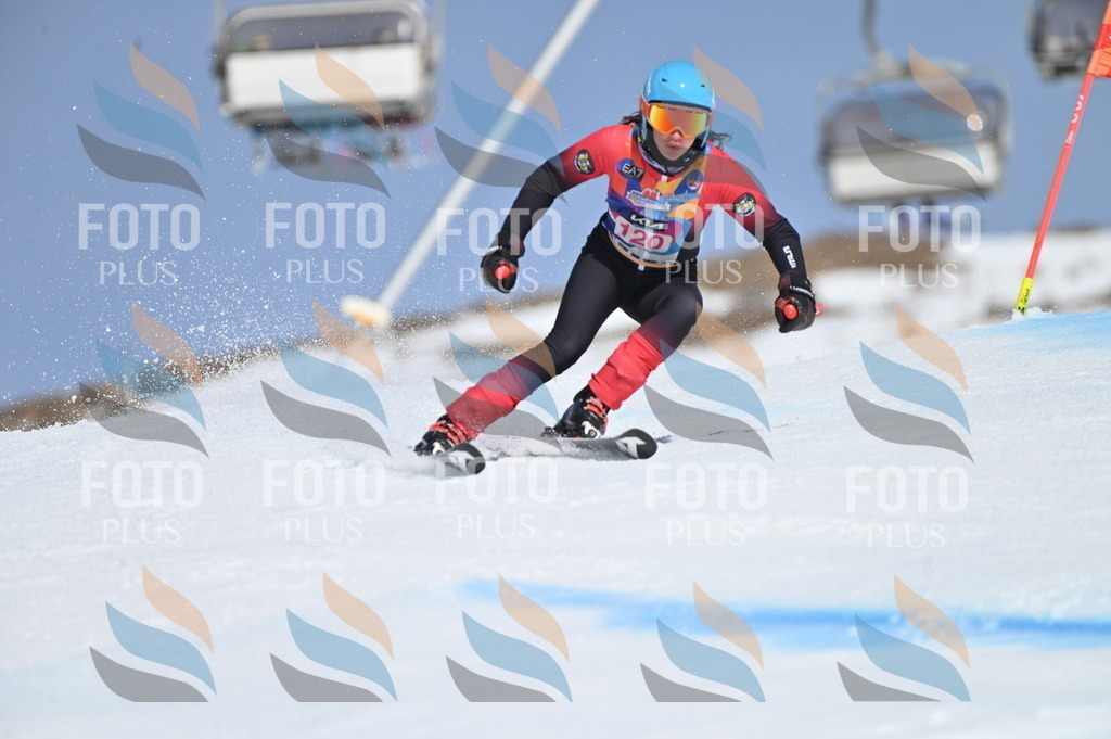 BGV_9805 | holidayphoto