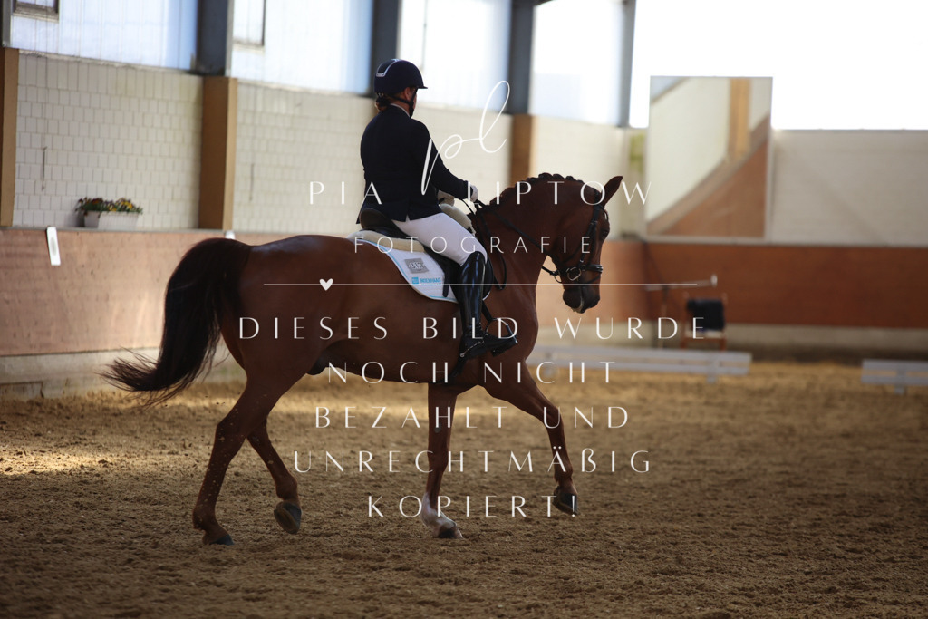 IMGT7100 | pl-fotografie