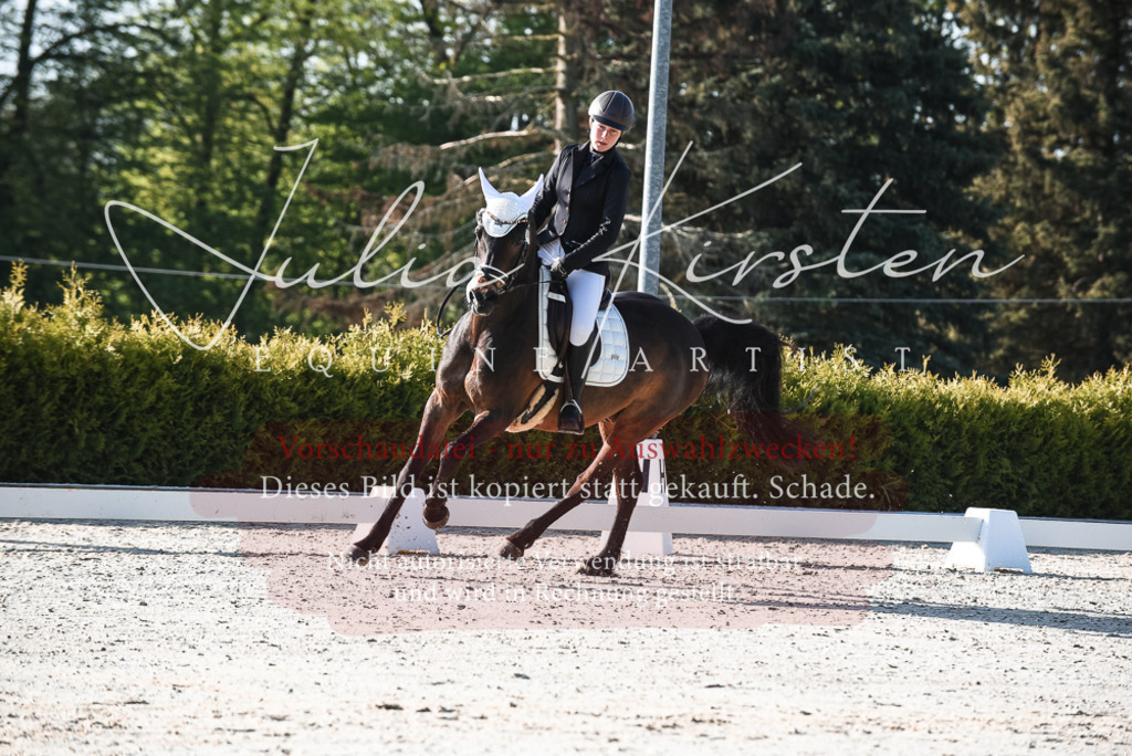 20230518_JK-Röhrsdorf-09-0384 | Pferde- und Turnierfotografie in Westsachsen. Pferdeportraits, Auftragszeichnungen und intuitive Kunst.