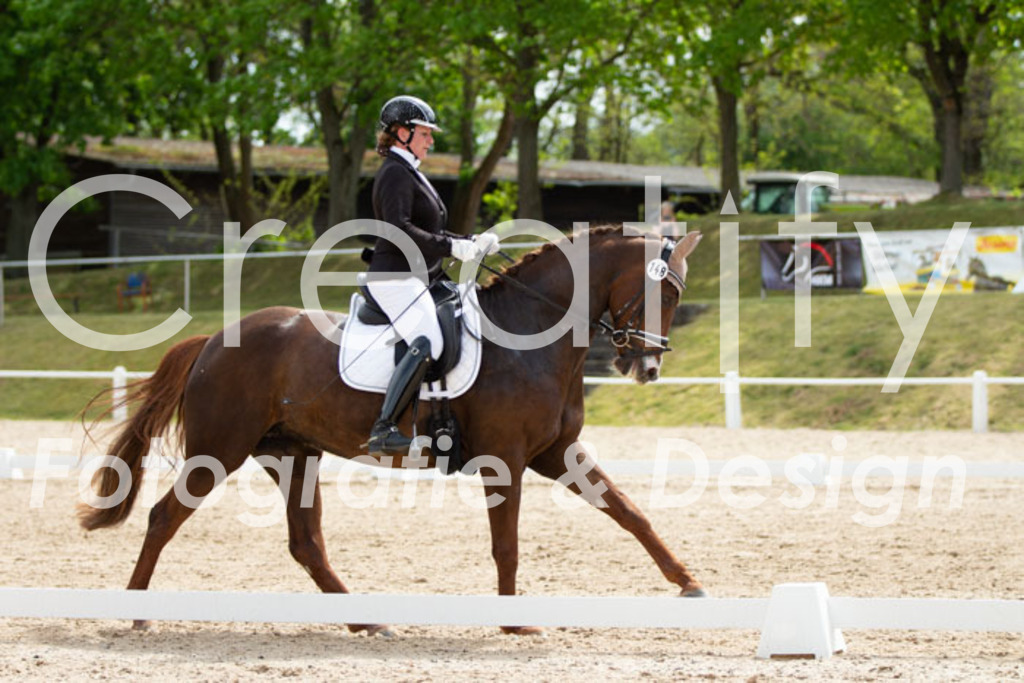 IMG_2395 | Creatify Fotografie