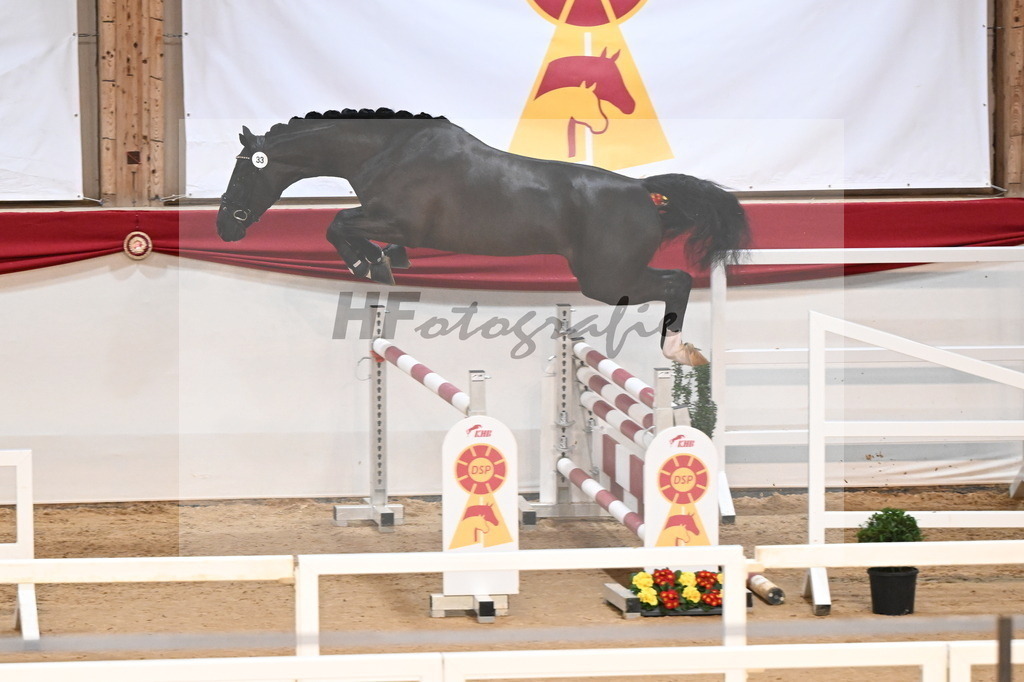 Kat.-Nr. 33 v. Vigaro_Schlamminger_3261817 | hf-fotografie - Realisiert mit Pictrs.com