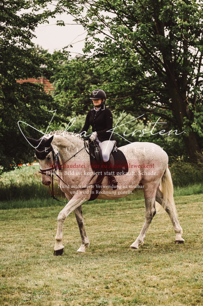 DSC_5192 | Pferde- und Turnierfotografie in Westsachsen. Pferdeportraits, Auftragszeichnungen und intuitive Kunst.
