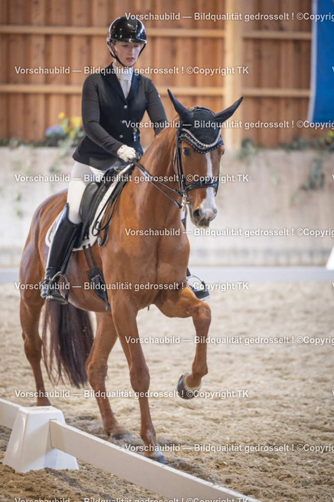 _D5A1682 | Emotionale Pferde- & People-Fotografie rund um Heidelberg, Leimen & Umgebung. Natürliche Fotos von Pferd, Mensch & Familie. Jetzt Termin sichern!