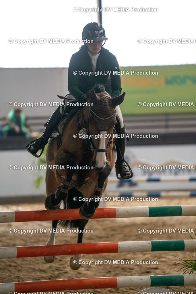 Kranichstein Tag 2-397 | dv-media-shop - Realisiert mit Pictrs.com