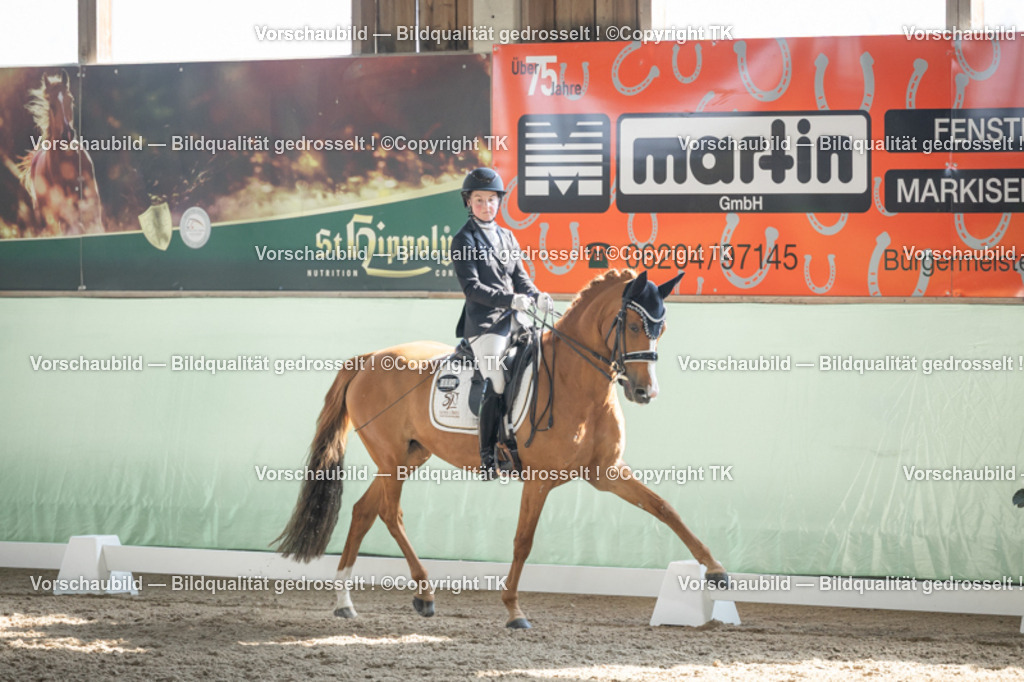 _D5A2558 | Emotionale Pferde- & People-Fotografie rund um Heidelberg, Leimen & Umgebung. Natürliche Fotos von Pferd, Mensch & Familie. Jetzt Termin sichern!