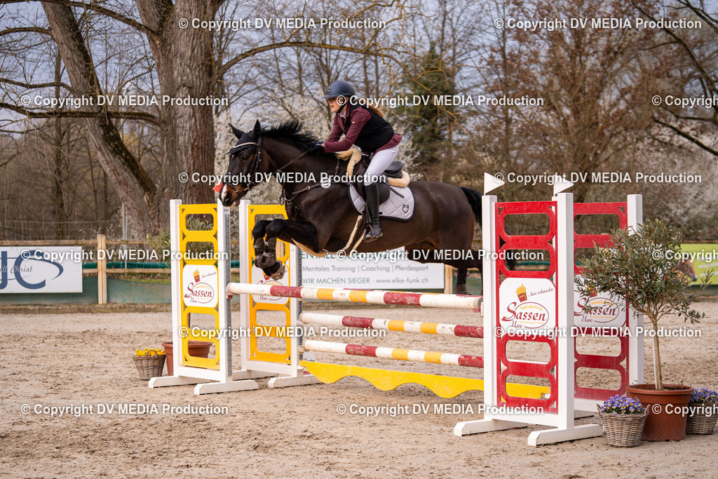 Kranichstein Tag 2-1335 | dv-media-shop - Realisiert mit Pictrs.com