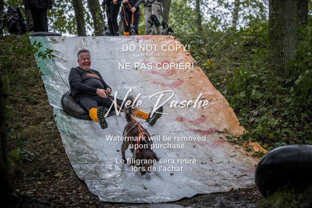 nelerasche_Hunsrück_Sa0930-1000_15-final | nelerasche