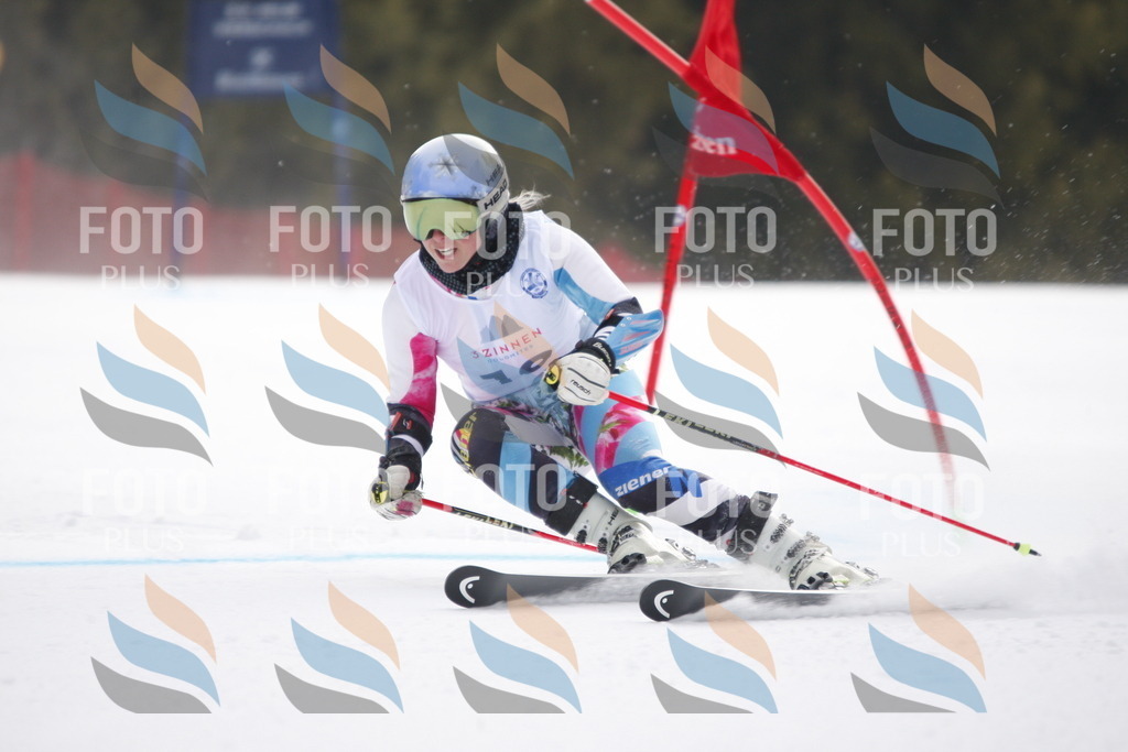 D4836 | holidayphoto