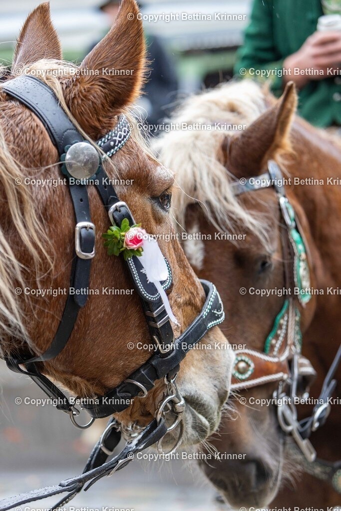 LL25-329 | foto-bettina-krinner - Realisiert mit Pictrs.com