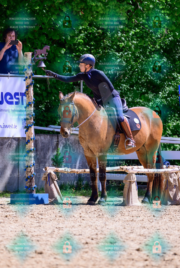 01052026-Giesenbach-02-Stiltrail-0381 | Fokus Hufschlag Fotografie - Realisiert mit Pictrs.com