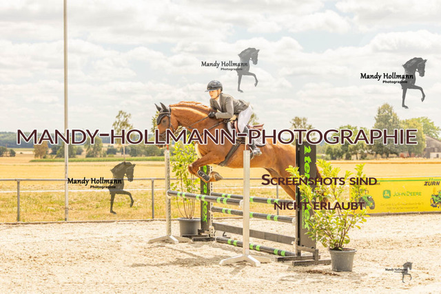 26-7-23 SPR A++-350 | mandyhollmannphotographie