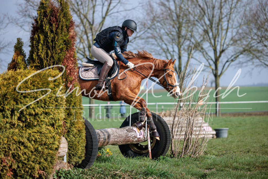 20260329-_3LI3389 | Tierfotografie Pferde, Hunde, Katzen, Haustiere.
Turnierfotografie Reitturniere, Reiten, Springreiten, Dressur in Hanau, dem Main-Kinzig-Kreis und dem Rhein-Main- Gebiet um Frankfurt