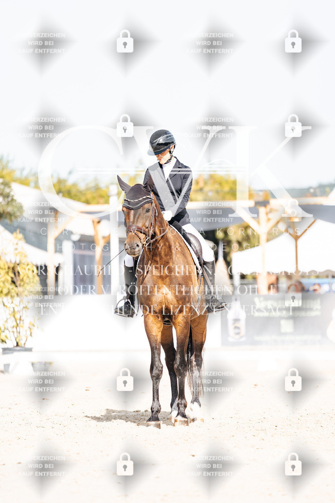 CK905448 | Turnierfotografie Pferdefotografie Trier Rheinland-Pfalz Pferdesport Reitsport Tierfotografie Sportfotografie Pferdevideo Pferdevideografie Equestrianvideography equestrianphotography  - Realisiert mit Pictrs.com